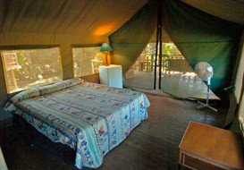 Lions Den Hotel - New Castle Holiday 0