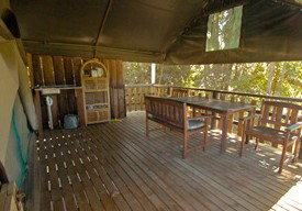 Lions Den Hotel - New Castle Holiday 2