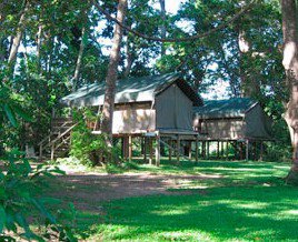 Lions Den Hotel - New Castle Holiday 3