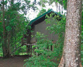 Lions Den Hotel - New Castle Holiday 4