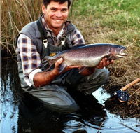 Clover Cottage Country Retreat - New Castle Holiday