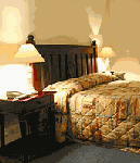 Tree Top Walk Motel - New Castle Holiday 3