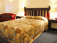 Tree Top Walk Motel - New Castle Holiday 4