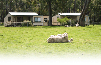 Cambray Cottages - New Castle Holiday 1
