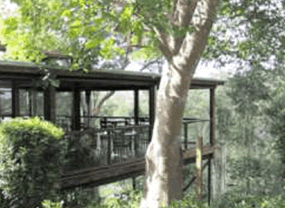 Watagan Lodge - New Castle Holiday 5