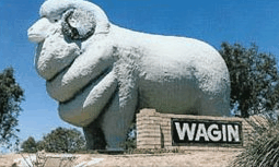 Wagin WA New Castle Holiday