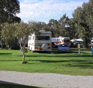 Pinjarra Caravan Park - New Castle Holiday