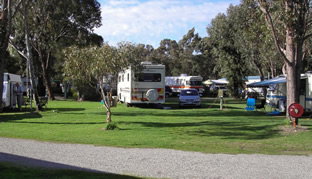 Pinjarra Caravan Park - New Castle Holiday 0