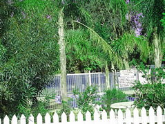 Pinjarra Caravan Park - New Castle Holiday 3