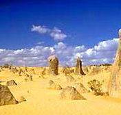 Cervantes Pinnacles Beachfront Caravan Park - New Castle Holiday