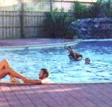 Shark Bay Caravan Park - New Castle Holiday