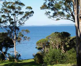 Denmark Waterfront - New Castle Holiday 4