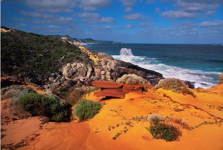 Nutkin Lodge - New Castle Holiday 4