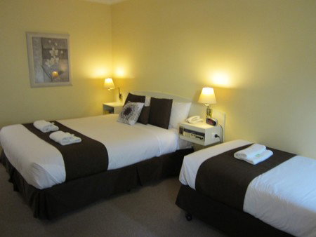 Ballina Homestead Motel - New Castle Holiday 4