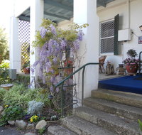 Norman House - New Castle Holiday