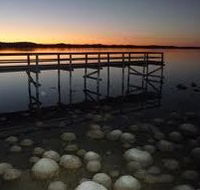 Lake Clifton Caravan Park - New Castle Holiday