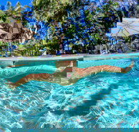 BIG4 Ballina Headlands Holiday Park - New Castle Holiday