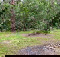Blue Gum Flat campground - New Castle Holiday