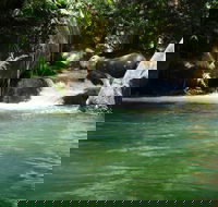 Daintree Secrets Rainforest Sanctuary - New Castle Holiday