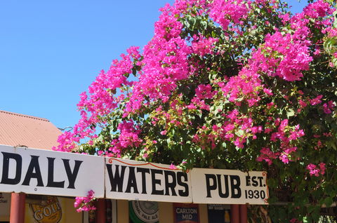 Daly Waters Historic Pub - New Castle Holiday 0