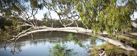 Hay Caravan Park - New Castle Holiday 1