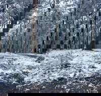 High Peaks Cottages - New Castle Holiday