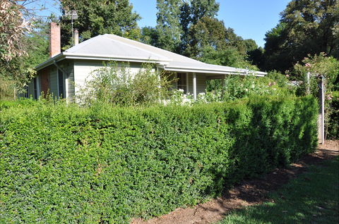 Honeysuckle Cottage - New Castle Holiday 1