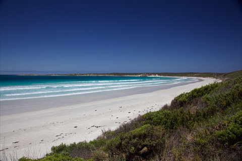 Island Time - New Castle Holiday 1