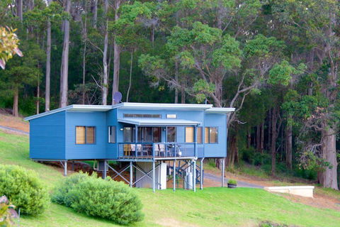 Karrak Reach Forest Retreat - New Castle Holiday 0