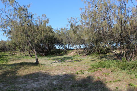 K'gari (Fraser Island) Camping, Great Sandy National Park - New Castle Holiday 1