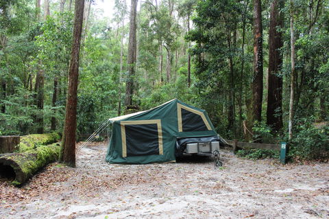 K'gari (Fraser Island) Camping, Great Sandy National Park - New Castle Holiday 2