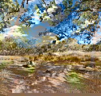 Kings Plains Creek campground - New Castle Holiday