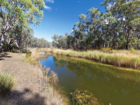 Kings Plains Creek Campground - New Castle Holiday 1