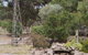La Cabane Retreat - thumb 1