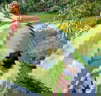 Native Dog campground - New Castle Holiday