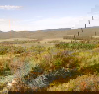 Nyroca Campsite  Group Accommodation - New Castle Holiday