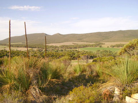 Nyroca Campsite & Group Accommodation - New Castle Holiday 0