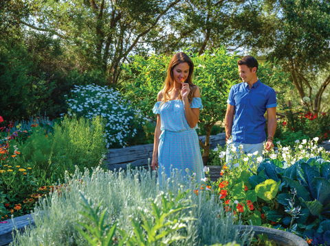 Olio Bello Lakeside Glamping - New Castle Holiday 1