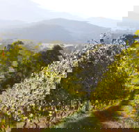 Rosetta's Garden Guesthouse - New Castle Holiday