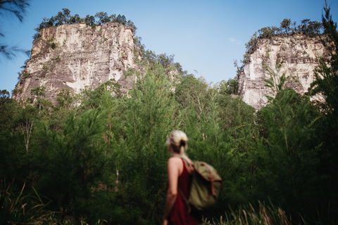 Sandstone Park Carnarvon Gorge - New Castle Holiday 0
