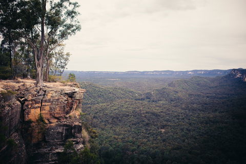 Sandstone Park Carnarvon Gorge - New Castle Holiday 1