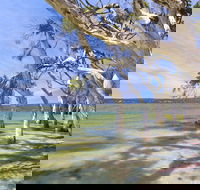 Shoal Cape Camp at Stokes National Park - New Castle Holiday