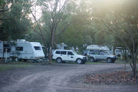 Stony Creek Bush Camp Caravan Park - New Castle Holiday 0