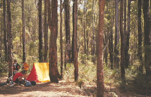 Stringers Camp At Lane Poole Reserve - New Castle Holiday 1
