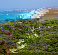 Twelve Apostles Lodge Walk - New Castle Holiday
