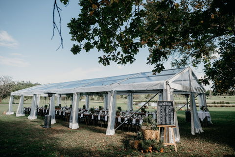 Willow Farm Berry - New Castle Holiday 0