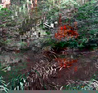 Woodlands Rainforest Retreat - New Castle Holiday