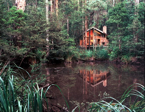 Woodlands Rainforest Retreat - New Castle Holiday 0