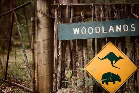 Woodlands Rainforest Retreat - New Castle Holiday 1