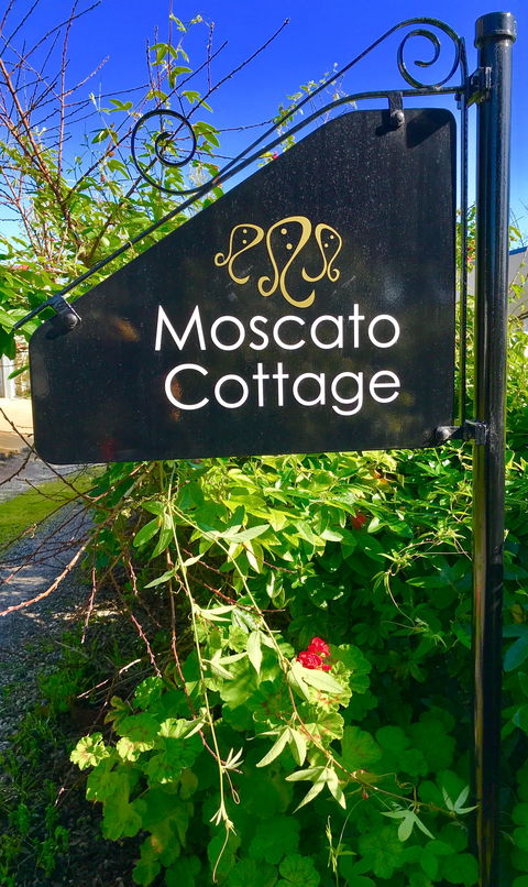 3 Divas Accommodation - The Moscato Cottage - New Castle Holiday 1